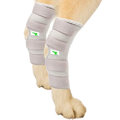 Gelenkbandage für Hinterbeine, für Hunde, 2 Stück (L/Grau) von Lepark