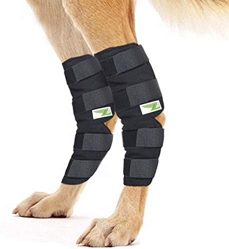 Hinterbeinbandage für Hunde, 1 Paar, heilt Gelenke für Hinterbeine (Größe S, lang) von Lepark