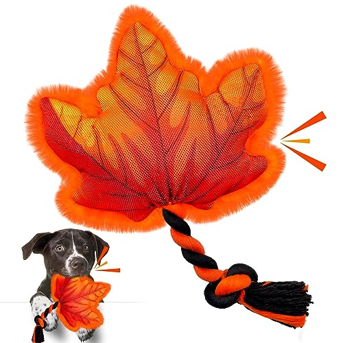 Lepawit Hundespielzeug, quietschendes Hundespielzeug mit Baumwollseil, Thanksgiving-Hundegeschenke für kleine und mittelgroße Hunde, Herbst-Ahornblatt von Lepawit