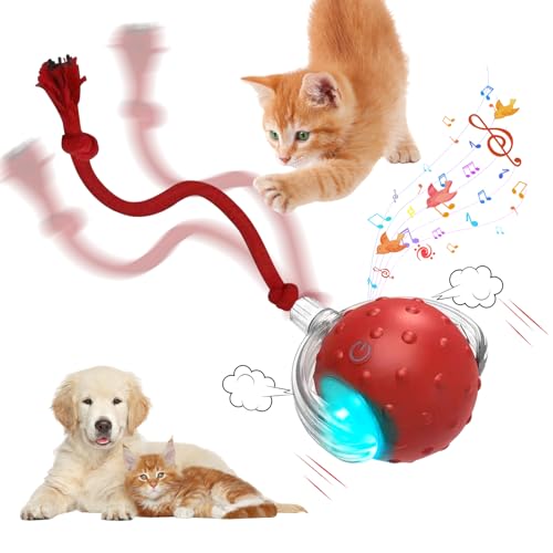 Interaktives Katzenspielzeug Elektrisch Ball mit Vogelruf, Intelligente Rollen Katzenball mit Schwanz, Katzenspielzeug Interaktiv Spielball mit 3 Arbeitsmodi, USB Aufladbar Spielball für Katzen (A) von Lergas