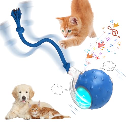 Interaktives Katzenspielzeug Elektrisch Ball mit Vogelruf, Intelligente Rollen Katzenball mit Schwanz, Katzenspielzeug Interaktiv Spielball mit 3 Arbeitsmodi, USB Aufladbar Spielball für Katzen (B) von Lergas