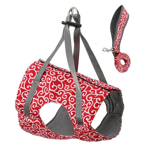 Escape Proof Kabelbaumleine Für Kleine Einstellbare Weste Mit Atmungsaktivem Und Sicheren Designkatzen Mit Der Leine Wandeln Escape Proof Kabelbaumleine Für Kleine Einstellbare Weste Mit Atmungsaktivem Und Sicheren Designkatzen Mit Der Leine Wandeln von Lerpwige