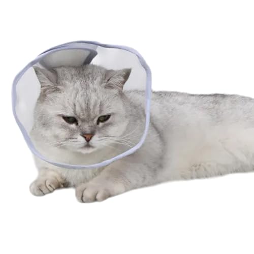 Katzenhalsband für kleine Katzen, perfekt geeignet für die Linderung von Verletzungen nach der Rehabilitation von Lerpwige