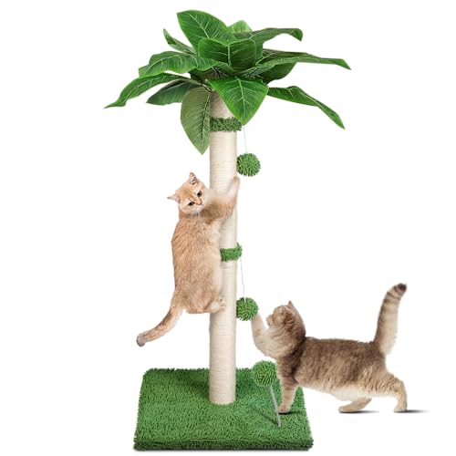 Lesnox Kratzbaum für Katzen, 84 cm hoch, Sisalseil, Kratzbaum für Indoor-Katzen und Kätzchen, mit baumelndem Federball, Grün von Lesnox