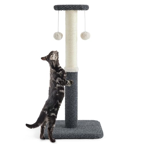 Lesure Kratzstamm mittelgroß für Katzen – 74 cm Kratzsäule für Katzen mit Plattform aus strapazierfähiger Teppichstoff, Kratzbaum mittel Katzen stabil mit Sisal und hängendem Ball, dunkelgrau von LE SURE