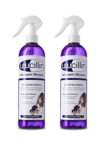 Leucillin Natürliches Antiseptikum-Spray, 2 x 500 ml von Leucillin