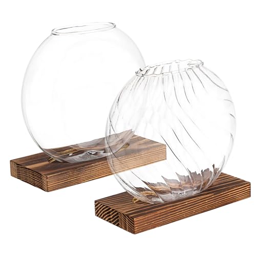 Levemolo Set Mit 2 Eleganten Terrarien Aus Glasblumen Für Die Pflanzenanordnung Und Die Dekoration Zu Hause von Levemolo