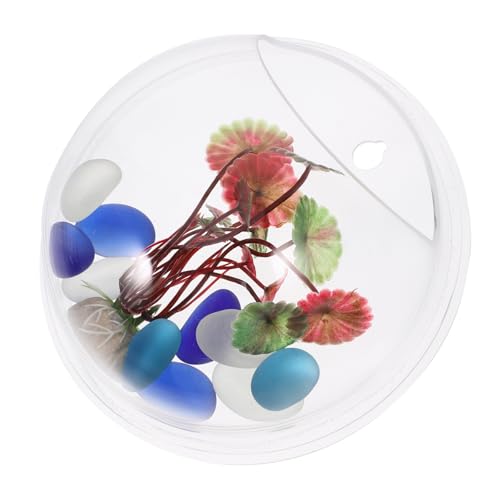 Levemolo Aquarienbecken Lebendiges Aquarium Aquarien Fischschalen Pflanzenwand Wandhängendes Betta-fischglas Fischaquarium Betta Fisch Nach Hause Blasenspielzeug Wasserpflanzenvase Luft von Levemolo