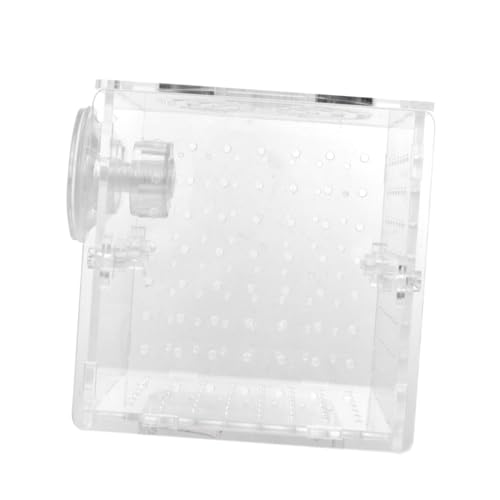 Levemolo Box Aquarium Zuchtbecken Acryl Aquarium Fisch Separator Aquarium Netz Zuchtnetz Zuchtbecken Für Fische Laufstall Akklimatisierungsnetz Aquarium Probe Transparent von Levemolo