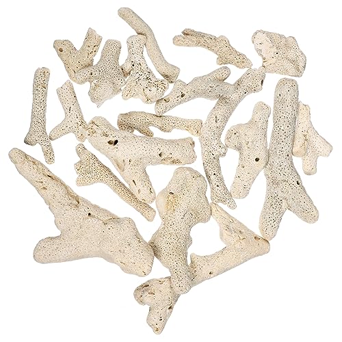 Levemolo Natürliche Korallensandsteine Für Aquarien 3 500g Dekorative Steine PH Wert Regulierend Fisch Tank Ornament Ideale Wahl Für Aquariengestaltung Und Filterung von Levemolo