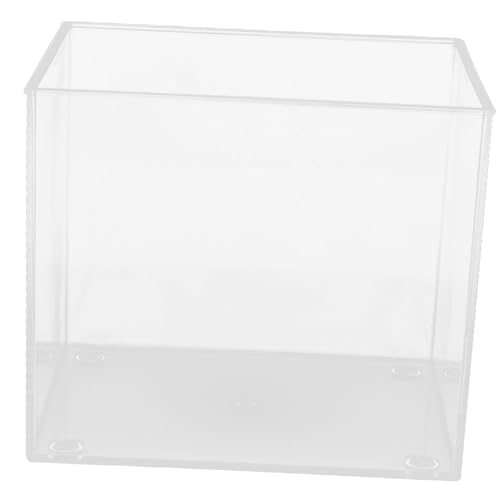 Levemolo Aquarium Aufzuchtbecken Fischtank Für Betta Fische Offenes Wasserbecken Quadratischer Desktop Aquarium Mit Pflanzen Ideal Für Fische Und Schildkröten Größe Aquarium Einrichtung von Levemolo