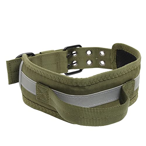 Levemolo Hochleistungs -haustierkragen Verstellbares Hundehalterhundnacken -Dekoration Haustier Accessoire Zum Training von Levemolo