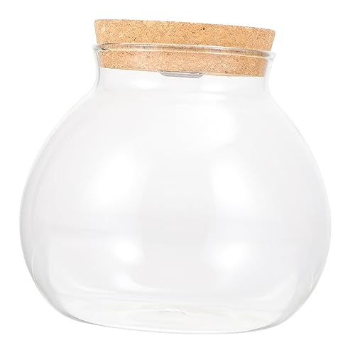 Levemolo Landschaftsflasche Terrarium Mit Deckel Uv-Lampe Große Klare Ornamente Tippee Fischaquarium Fischglas Mit Fischschalen Aquariumdekoration Großes Fischglas Solar- Holz Weiß von Levemolo