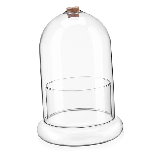 Levemolo Elegantes Terrarium aus Glas mit Luftloch Mikro-Landschaftsvase für Zuhause Büro Hotel Moos konservierte von Levemolo