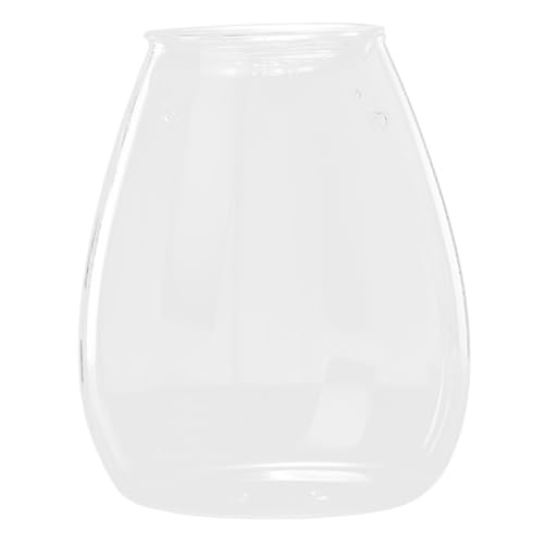 Levemolo Elegante Glas Pflanze Container Umweltfreundliche Terrarien Hydrokultur Für von Levemolo