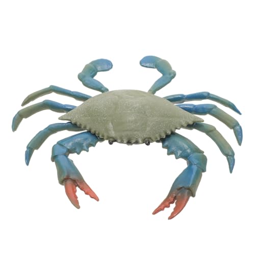 Levemolo Simulation Krabbe Meerestiermodell Realistisches Krabbenspielzeug Hummerfiguren Simuliertes Spielzeug Dekoration Krabbe Simulierter Fisch Einsiedlerkrebs Figur Krabben-Ornament PVC von Levemolo