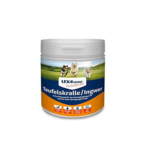 LEXA DOG® Teufelskralle Ingwer 500 g Dose von LEXA