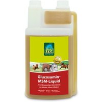 Lexa Ergänzungsfutter Glucosamin-MSM-Liq 1 L von Lexa