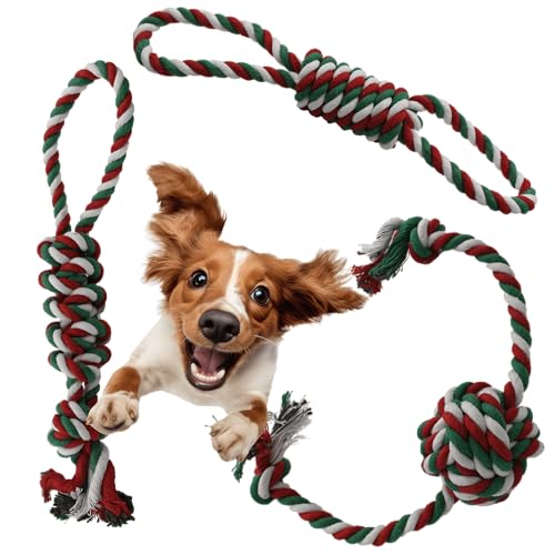 LexyFriend Spielseil für Hunde und Katzen (75 g - 32 cm) von LexyFriend