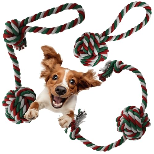 LexyFriend Spielseil für Hunde und Katzen (85 g - 32 cm) von LexyFriend