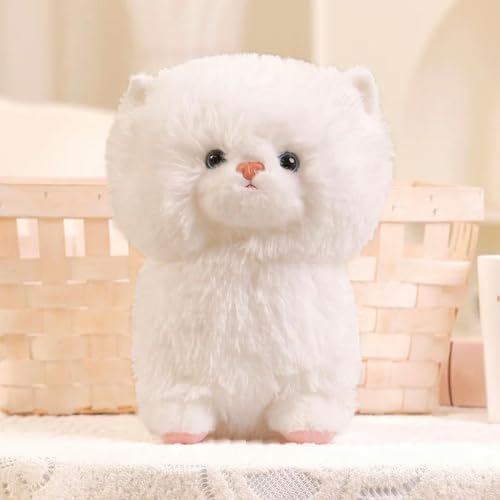 LfrAnk Kawaii Plüsch lebensechte Katze Plüsch Spielzeug Katze Niedliche Katze Haustier Spielzeug Home Decor Geburtstagsgeschenke 25cm 2 von LfrAnk