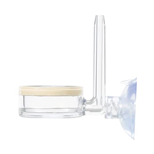 LfrXtra CO2-Diffusor Blasenschalter Pflanzen Tanks CO2-Atomizer Kreatreiche CO2 Für Aquariumanlage LfrXtra CO2-Diffusor Blasenschalter Pflanzen Tanks CO2-Atomizer Kreatreiche CO2 Für Aquariumanlage von LfrXtra