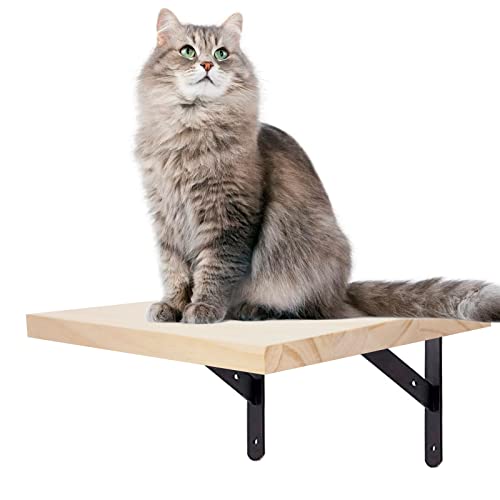 Kletterwand für Katzen, Katzentreppe Katzenstufentreppe Katzenleiter Stufen Haustier Katze Wandmontage Treppe Wandstufe Katzentreppe für Haustiere, Möbel zum Klettern, Spielen, 1-teilig von LhyBtm