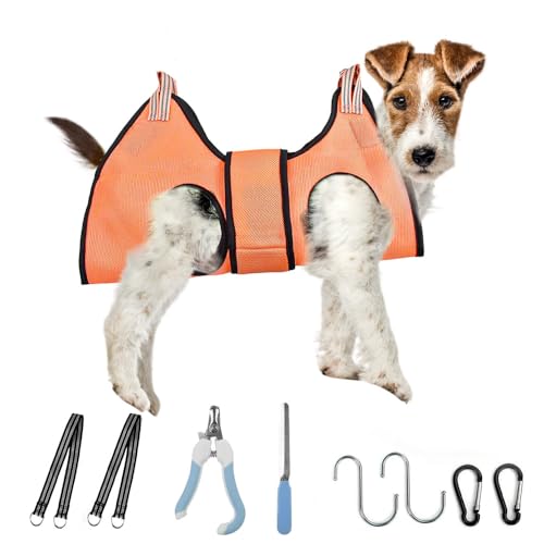 Hundepflege Hängematte Set für Hunde und Katze, Neu Aufgerüstet Hunde- und Katzenpflegegeschirr, Haustierpflege Hängematte, für Krallenschneiden und Krallenkürzen von Hunden und Katzen, Größe M von Liamcute