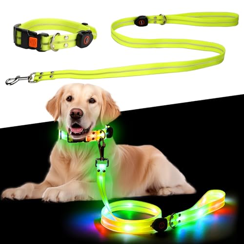 Leuchthalsband Hund, Beleuchtete Hundeleine über USB Wiederaufladbar 1,2 m, Wiederaufladbar Hundehalsband Leuchtend LED Halsband für Hunde Einstellbare Größe, für Kleine Mittlere Hunde, Wasserdicht von Libershine