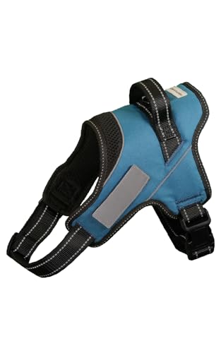 Liberte harness Hundegeschirr, kein Ziehen, Namensschild befestigbar, Cerulean Blue, Größe M von Liberte harness