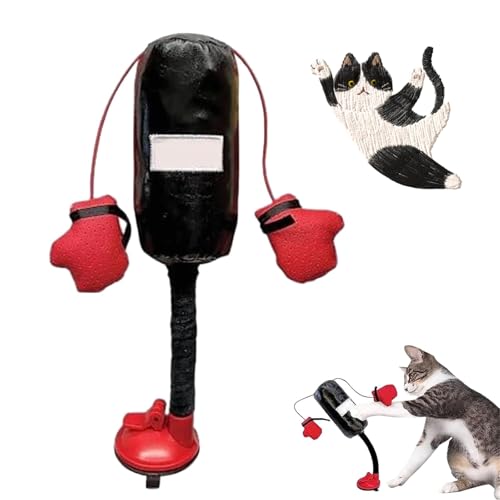 Lichi Katzen Boxsack Spielzeug, Haustier Katze Übung Spielzeug, Mini Boxen Boxsack Katzenspielzeug mit 2 Handschuhen, Interaktives Katzenspielzeug, Kätzchen Spielzeug für Indoor Katzen von Lichi