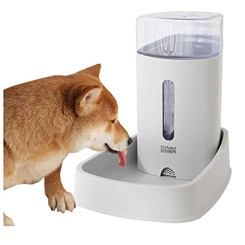 Futterspender Katze Trockenfutter Futterautomat Hunde Wasserspender für Haustiere Food & Water Feeder Set Welpen-Feeder Wasser Hundenapf Gray,Water Feeder von Lidylinashop