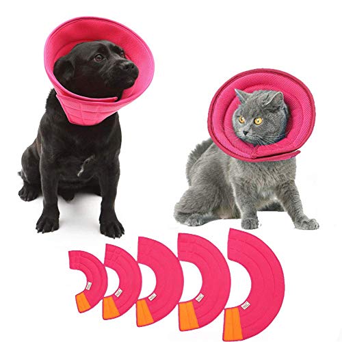 Halskrause Katzen Trichter Hund Einstellbare Haustiere Kegel Recovery Collar Cone für Wunden Hundezapfen nach der Operation weich red,2# von Lidylinashop