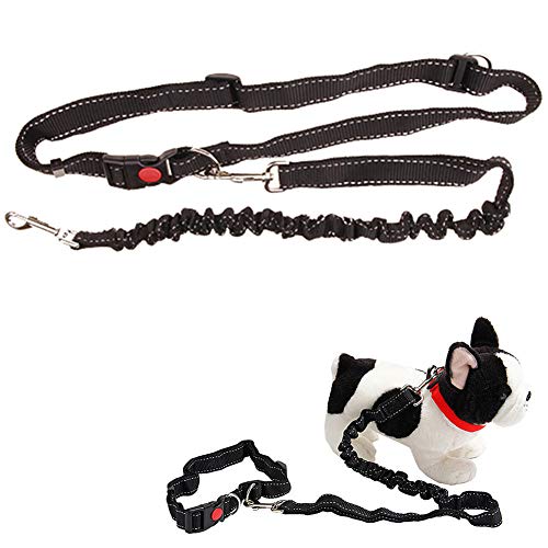 Joggingleine Hunde Hundeleine Hund führt stark Hundetraining Lead Hundeleine bequem Dog Slip Lead Trainingsleitung für Hunde Hund führt Rutschseil Hand-Free von Lidylinashop