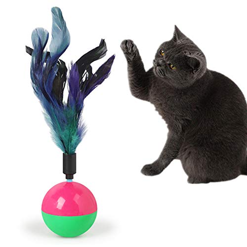 Lidylinashop Katzenspielzeug Spielzeug Katze Kätzchen-Spielwaren für Innenkatzen Cat Treat Spielzeug Katze Ballspielzeug Katze Spielzeug Bälle Feather von Lidylinashop