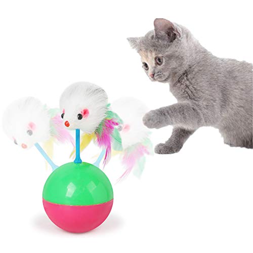 Lidylinashop Katzenspielzeug Spielzeug Katze Kätzchen-Spielwaren für Innenkatzen Cat Treat Spielzeug Katze Ballspielzeug Katze Spielzeug Bälle Rat von Lidylinashop