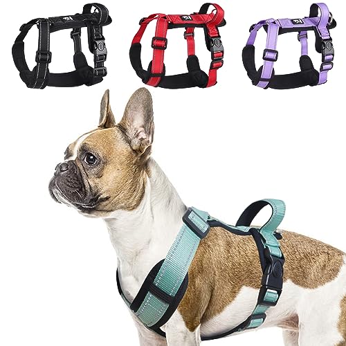 LiebeDD Hundegeschirr Grün L - Brustgeschirr Hund Mittel Groß Verstellbar Reflektierend Anti Zieh Hunde Geschirr Französische Bulldogge Hund Zuggeschirr Dog Harness von LiebeDD