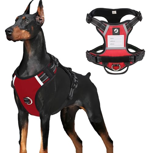 LiebeDD Hundegeschirr für Kleine Mittelgroße Grosse Hunde, Geschirr Hund Sicherheitsgeschirr Hund Ausbruchsicher mit Namen Etikett, Brustgeschirr Hund Dog Harness, Rot, L von LiebeDD