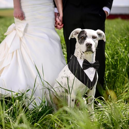 LiebeDD Hundemantel für Kleine Mittlere Hunde - Hundejacken Warm Hundemantel mit Geschirr Französische Bulldogge Wintermantel Hund Reflektierende Hund Schneeanzug Hunde Mantel Gefüttert, Lila S von LiebeDD