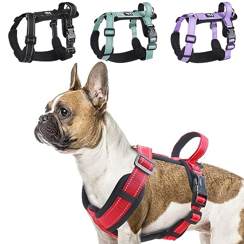 LiebeDD Geschirr Hund Klein Mittel Groß Hunde - Sicherheitsgeschirr Hund Y Form Brustgeschirr Hundegeschirr Gepolstert mit Griff, Geschirr Französische Bulldogge Verstellbar Dog Harness, Rot, L von LiebeDD