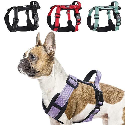 LiebeDD Geschirr Hund Klein Mittel Groß Hunde - Sicherheitsgeschirr Hund Y Form Brustgeschirr Hundegeschirr Gepolstert mit Griff, Geschirr Französische Bulldogge Verstellbar Dog Harness, Lila, L von LiebeDD