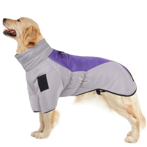 LiebeDD Wasserdicht Hundemantel Winter Warm Hunde Jacken mit Geschirr, Outdoor Hundemantel Grosse Hunde Wintermantel mit Bauchschutz Hund Winterjacke für Dackel Labrador, Lila, 3XL von LiebeDD