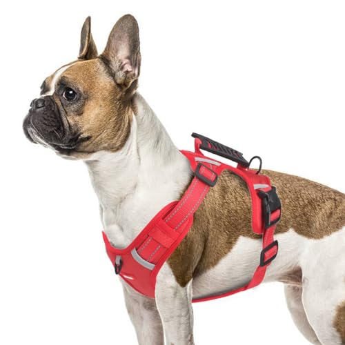 LiebeDD Hundegeschirr für Grosse Hunde Sicherheitsgeschirr Hund Ausbruchsicher, Chihuahua Geschirr Hund Panikgeschirr für Hunde Anti Zug Hundegeschirr mit Griff Dog Harness, Rot, L von LiebeDD