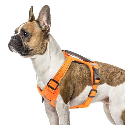 LiebeDD Hundegeschirr für Grosse Hunde Sicherheitsgeschirr Hund Ausbruchsicher, Chihuahua Geschirr Hund Panikgeschirr für Hunde Anti Zug Hundegeschirr mit Griff Dog Harness, Orange, XL von LiebeDD