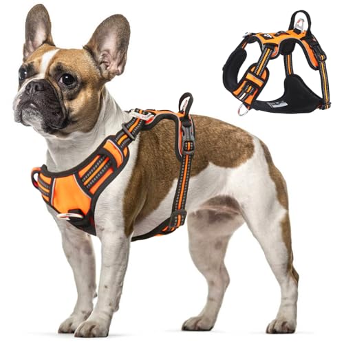 LiebeDD Geschirr Hund, Hunde Geschirr Gepolstert Hundegeschirr mit Griff, Panikgeschirr für Hunde Sicherheitsgeschirr, Brustgeschirr Hund Klein Mittel, Französische Bulldogge Geschirr, Orange, M von LiebeDD