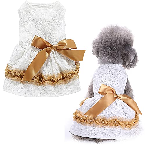 LifeWheel Hundekleid für Kleine, Mittelgroße Hunde, Welpenrock Hundekleidung Prinzessin Kleider Spitze Kleid Hundemantel Hunde Kostüm Hochzeitsabendkleid für Halloween, Weihnachtshochzeitsfeier von LifeWheel