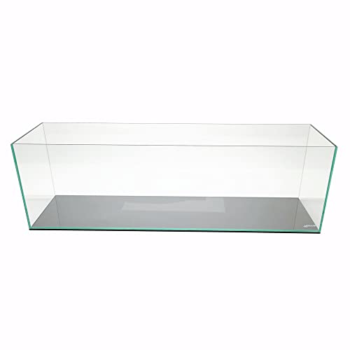 Bücherregal für Aquarien, transparent, 5 mm Dickes Glas von Lifegard Aquatics