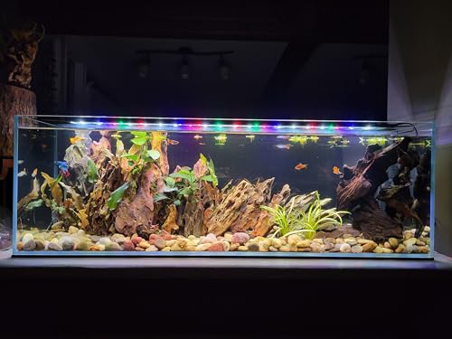 Glas-Bücherregal für Aquarien, mit niedrigem Eisengehalt, 8 mm – (91 x 30 x 30 cm) von Lifegard Aquatics