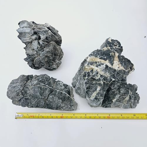 Lifegard Aquatics Smoky Mountain Seiryu Stone – 0,5 kg Mix Size Kit aus mittleren und kleinen Felsen (für Dekoration, Teiche, Aquarien und Aquascaping), Grau von Lifegard Aquatics