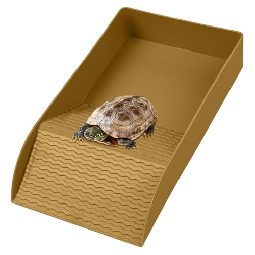 Schildkrötenraum mit rutschfestem Rampen Flacher Reptilienpool rechteckig 12 x 6 x 2 Zoll Schildkrötenwanne glattes und Robustes Plastikschildschild für Gecko Snake, Reptilienwasserschale Schildkrötenraum mit rutschfestem Rampen Flacher Reptilienpool rechteckig 12 x 6 x 2 Zoll Schildkrötenwanne glattes und Robustes Plastikschildschild für Gecko Snake, Reptilienwasserschale von Ligeinsrk